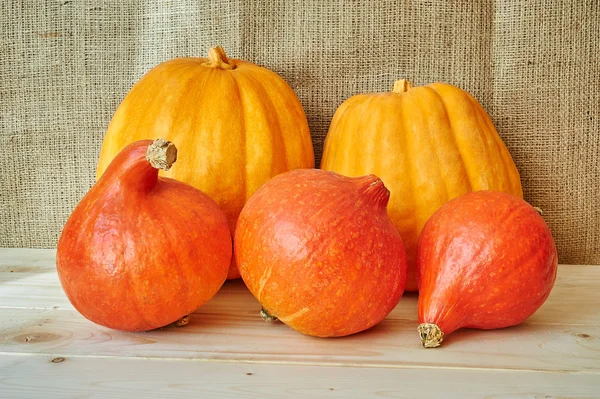 Otoño calabazas de rojos y naranjas sobre un fondo de madera en un rusti —  Fotos de Stock