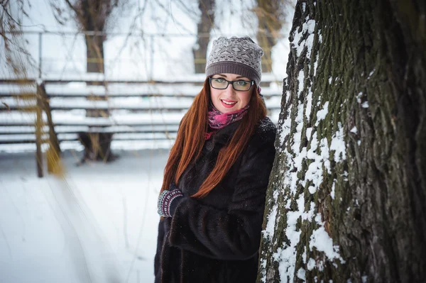 Winnter chica y árbol de nieve — Foto de Stock