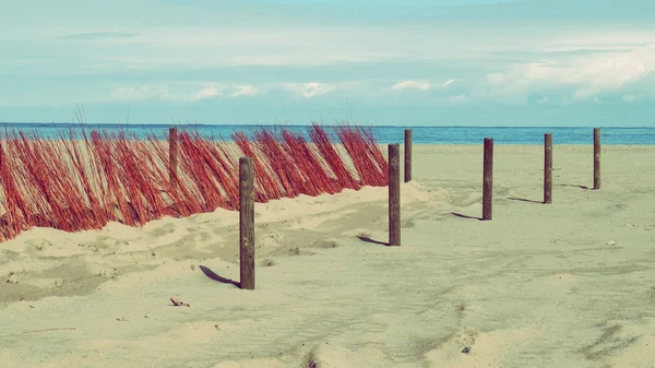 Duinen, strand en de oceaan zomer ontspannen vakantie — Stockfoto