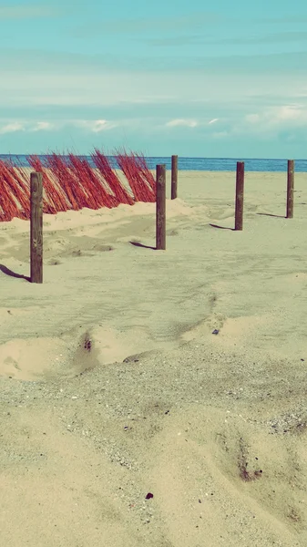 Dunes Plage et Océan Vacances d'été relaxantes — Photo