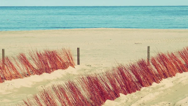 Wydmy plaży i relaksujące wakacje lato Ocean — Zdjęcie stockowe