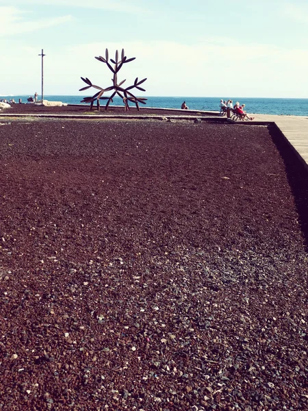 Tenerife Americas sahil mesire — Stok fotoğraf