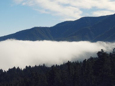 Mount Teide Park yolu manzara Kanarya Adaları İspanya