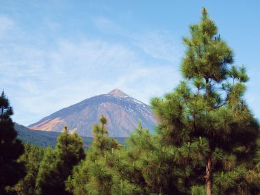 Teide Tenerife Kanarya Adaları İspanya mount