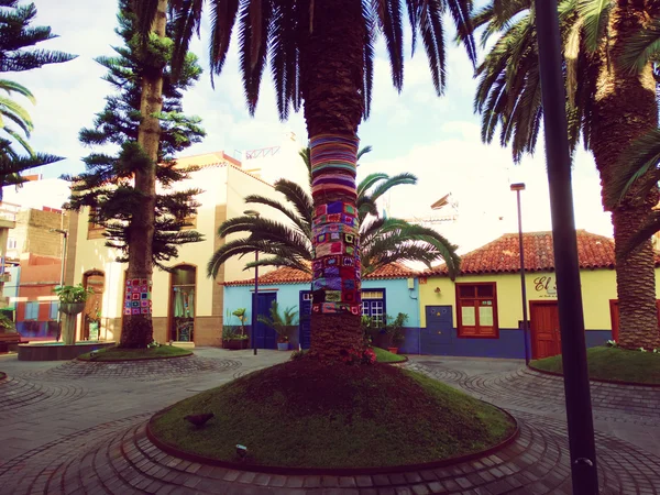 Gestrickte Palmen und farbige Unterkünfte auf Teneriffa Kanarischen Inseln — Stockfoto