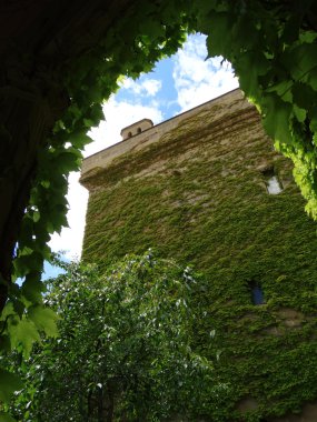 Olite bahçeleri Navarre İspanya Sarayı Castle