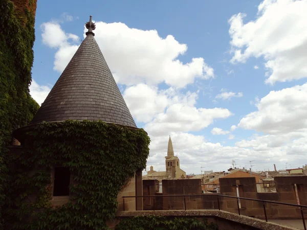 Palais royal de la ville d'Olite Navarre Espagne — Photo