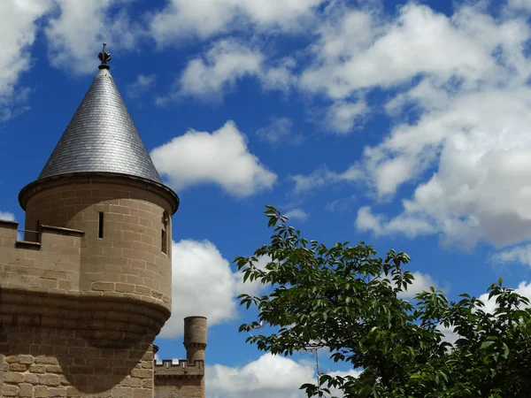 Royal Palace of the town of Olite Navarre Spain — Stock Photo, Image