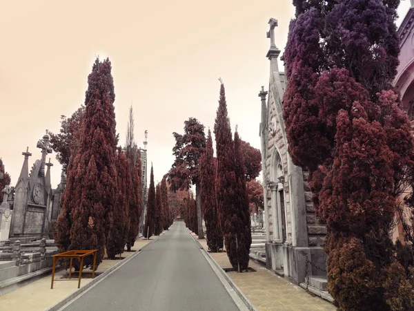 Cementery піктограму шлях — стокове фото