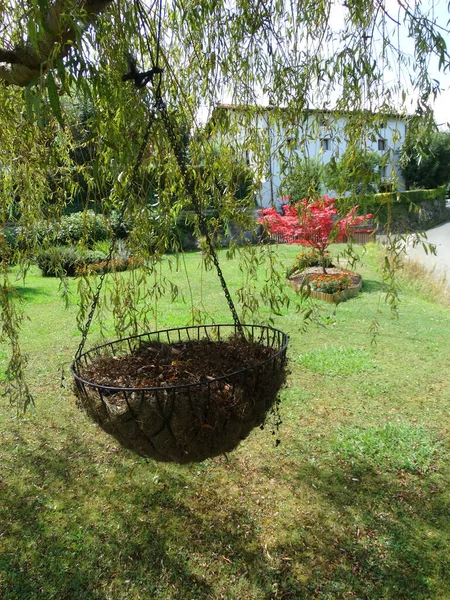 Flowers Tree Garden Landscaping Baszkföld Spanyolország — Stock Fotó