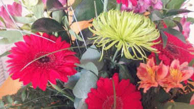 Lilyum ve Gerbera çiçekleri