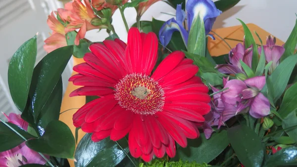 Red Gerbera Flower with lilies — Stock Photo, Image