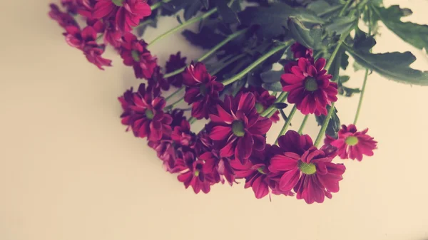 Gerbera madeliefjes bloemen vieringen Gift — Stockfoto
