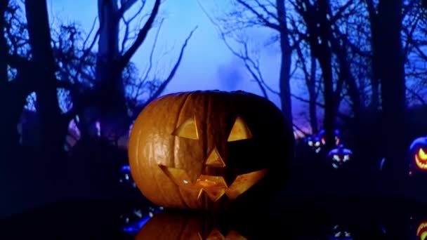 Scarry Halloween Pumpkin — Stock Video