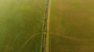 Yeşil alan yolu işaretleri üzerinde 