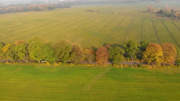 Beautiffull Automne drone survoler la route avec la voiture de conduite par — Video