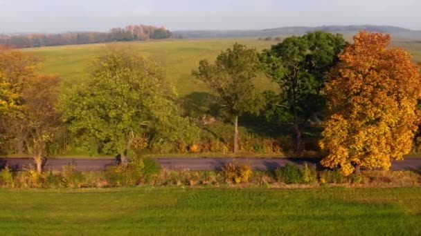 Beautiffull Automne drone survoler la route avec la voiture de conduite par — Video