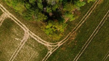 Güz İHA 'sı ağaçların ve tarlaların üzerinde uçuyor.