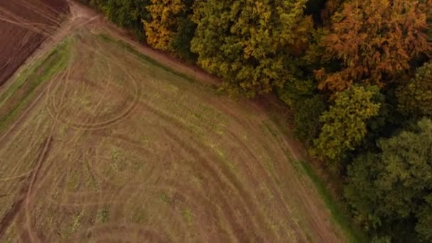 Beautiffull Autumn drone voar sobre as árvores e campos — Vídeo de Stock