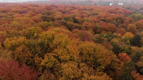 Beautiffull Autunno drone volare sopra gli alberi e campi — Video Stock