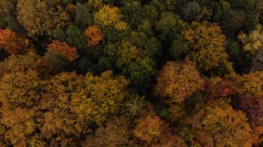 Güz İHA 'sı ağaçların ve tarlaların üzerinde uçuyor.