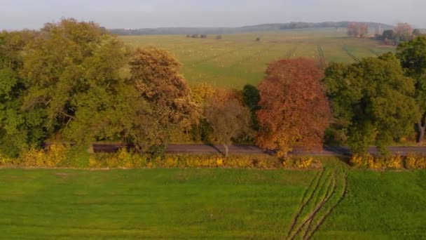 Beautiffull Automne drone survoler la route avec la voiture de conduite par — Video