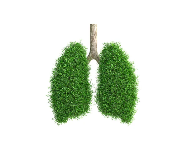 Drzewo Rośnie Postaci Ludzkiego Płuca Ilustracja — Zdjęcie stockowe