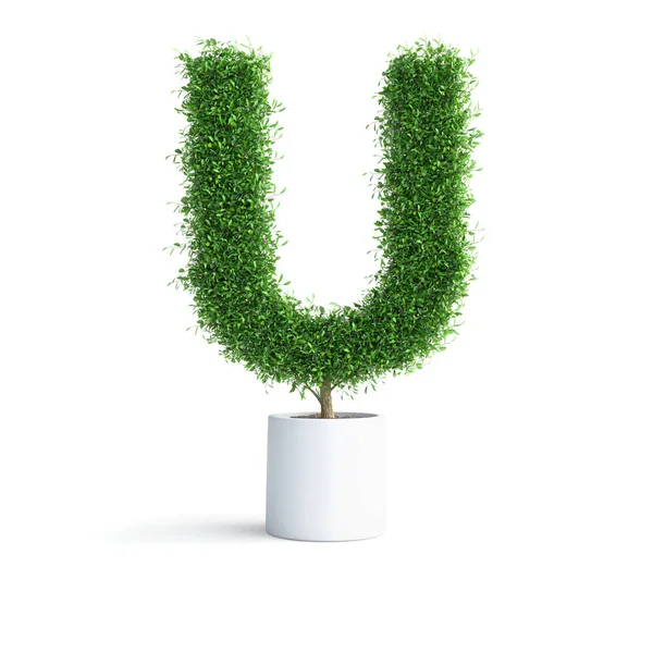 Grüner Baum Alphabet Buchstabe Mit Clipping Pfad Illustration — Stockfoto