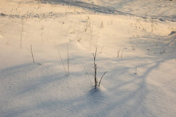 Oberfläche aus reinem weißen Schnee. Schwarz-Weiß-Foto. — Stockfoto