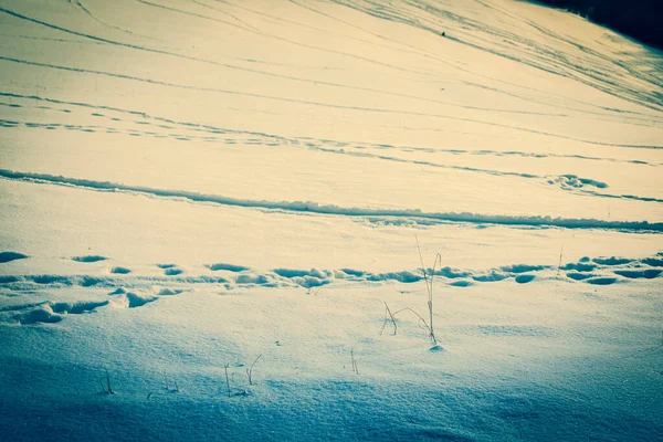 Vestígios na neve fresca.Imagem de inverno. — Fotografia de Stock