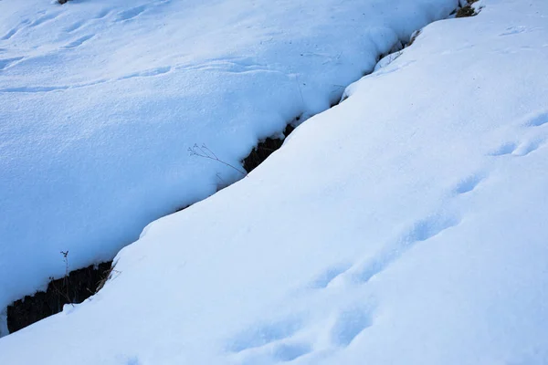 Oberfläche von frischem weißen Schnee. Winterbild. — Stockfoto