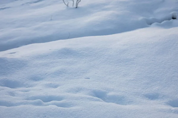 Oppervlak van verse witte sneeuw.Winter afbeelding. — Stockfoto