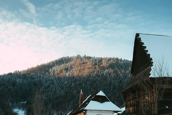 Casas de madera cabaña en Vlkolinec, pueblo asentamiento tradicional en las montañas. — Foto de Stock