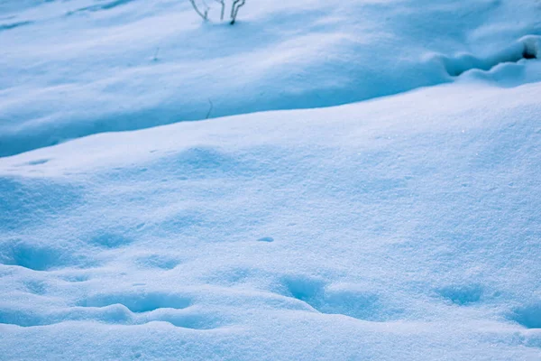 Oberfläche von frischem weißen Schnee. Winterbild. — Stockfoto