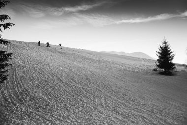 Soğuk ve güneşli bir günde kar manzarayı kapladı..