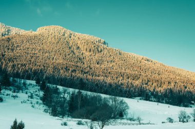 Soğuk ve güneşli bir günde kar manzarayı kapladı..