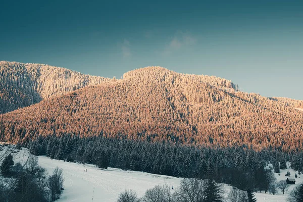 Snow covered landscape on cold and sunny day.Winter image. — Stock Photo, Image