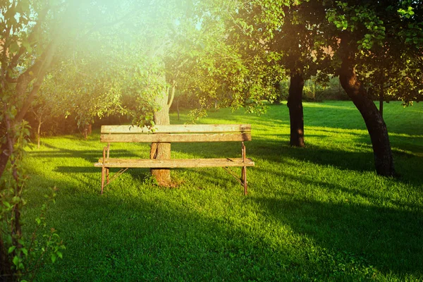 Dřevěné lavice v zahradě dvorku.Letní zahradní záběr. — Stock fotografie