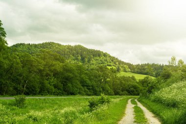 Yeşil çayır ve tepe manzarası arka planda..