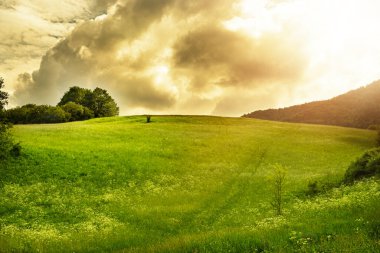 Yeşil çayır ve tepe manzarası arka planda..