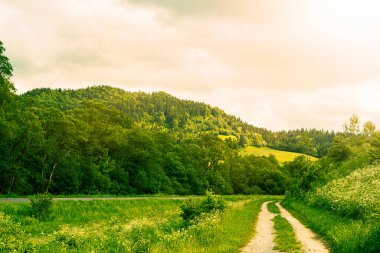 Yeşil çayır ve tepe manzarası arka planda..