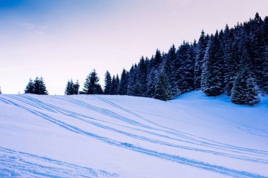 Soğuk kış gününde kar manzarayı kapladı.