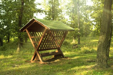 Ormandaki geyikler için hayvan yemi. Yüksek kalite fotoğraf..