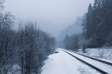 Tren yolu karla kaplı. Kış görüntüsü. Yüksek kalite fotoğraf..