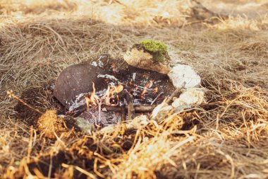 Bahar mevsiminde çayırda kamp ateşi.