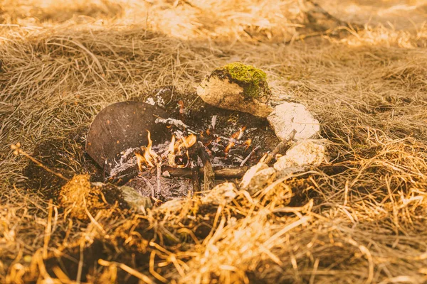 Bahar mevsiminde çayırda kamp ateşi.