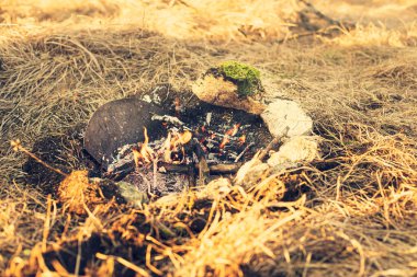 Bahar mevsiminde çayırda kamp ateşi.