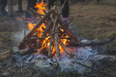 Bahar zamanı çayırda kamp ateşi.