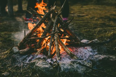 Bahar zamanı çayırda kamp ateşi.