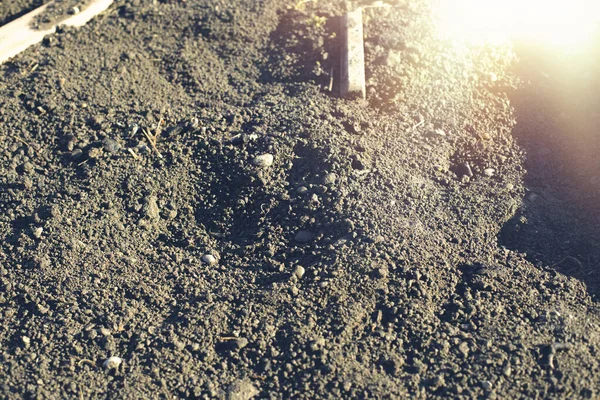 Почва Приподнятом Садовом Грядке Высокое Качество Фото — стоковое фото